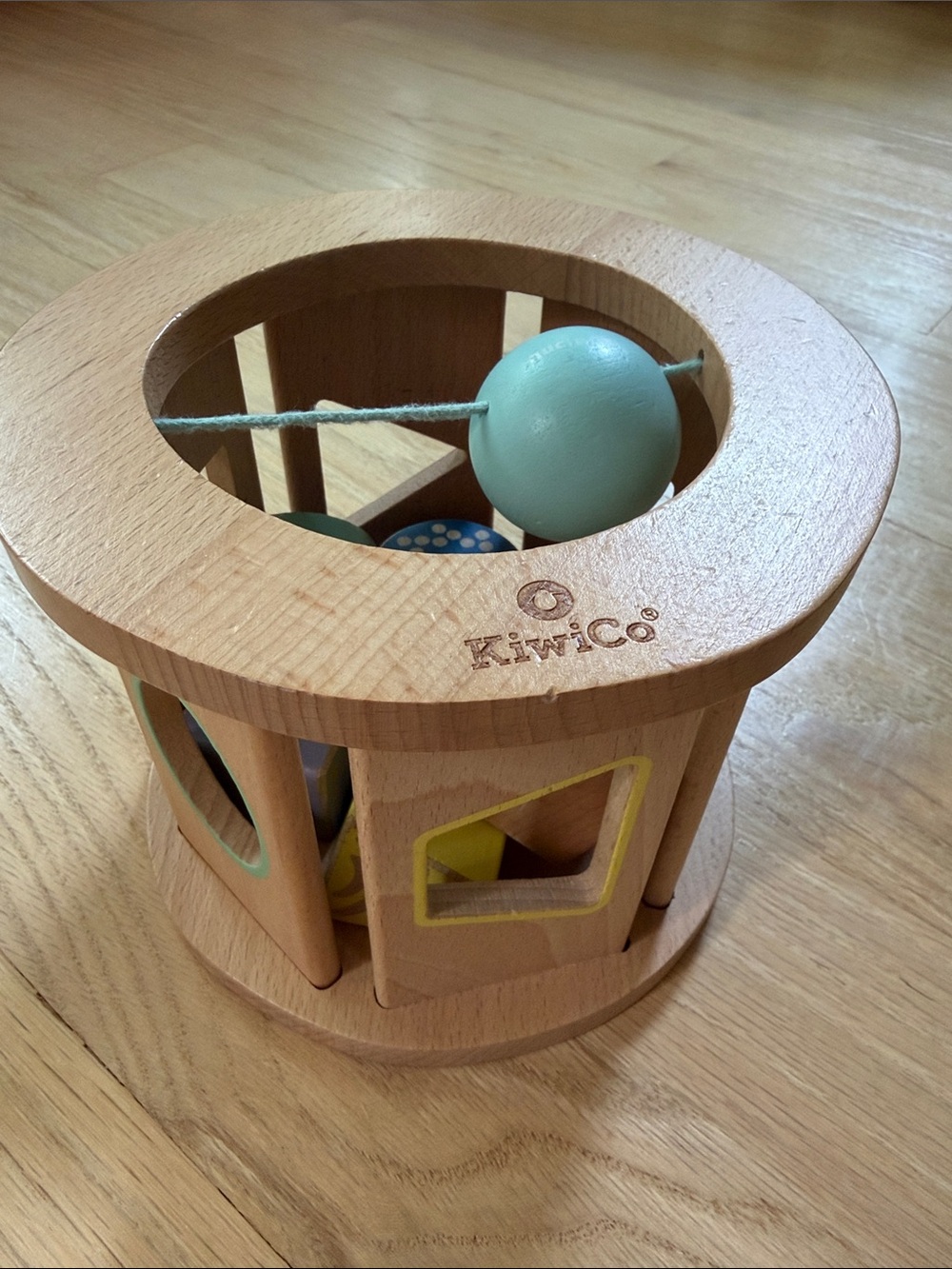 KiwiCo Biology Blocks Shape Sorter